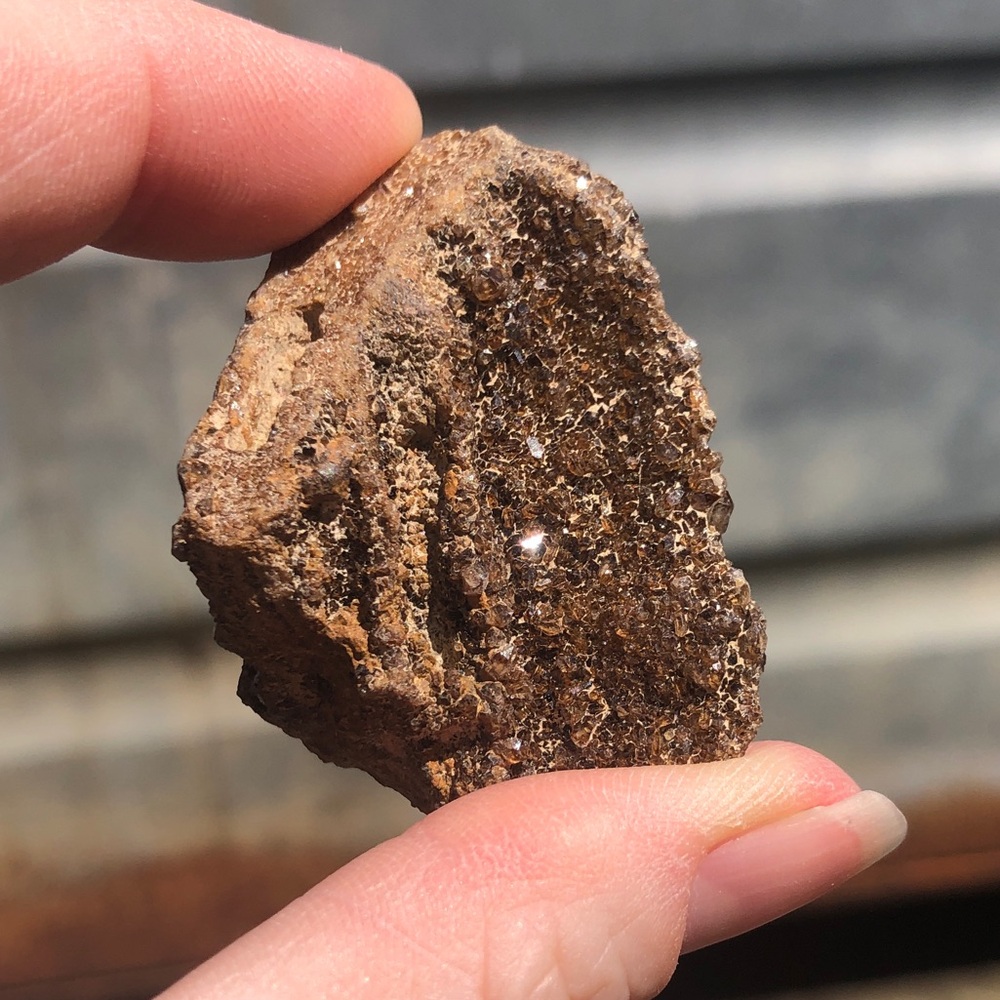 Rare Smoky Quartz Petrified wood
